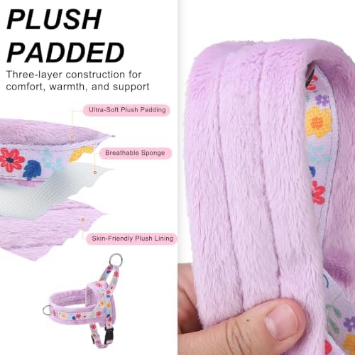 BEAUTYZOO Small Dog Harness and Leash Set, No Pull Step in Puppy Vest - Image 2