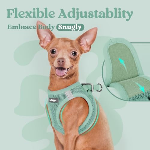 rabbitgoo Step-in Small Dog Harness, Puppy Vest - Image 6