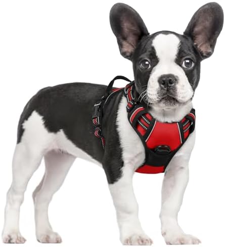rabbitgoo Dog Harness, No Pull for Small Dogs by rabbitgoo