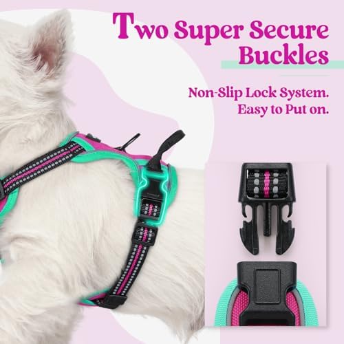 rabbitgoo Dog Harness, No Pull for Small Dogs - Image 3