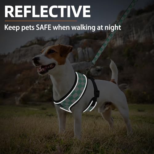 PUPTECK Small Dog Harness and Leash Set No Pull - Image 6