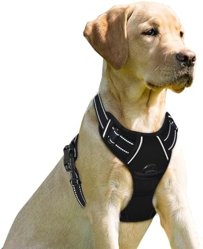 BARKBAY Dog Harness No Pull for Small Sized Dog Front Back Clips, Dog Vest by BARKBAY