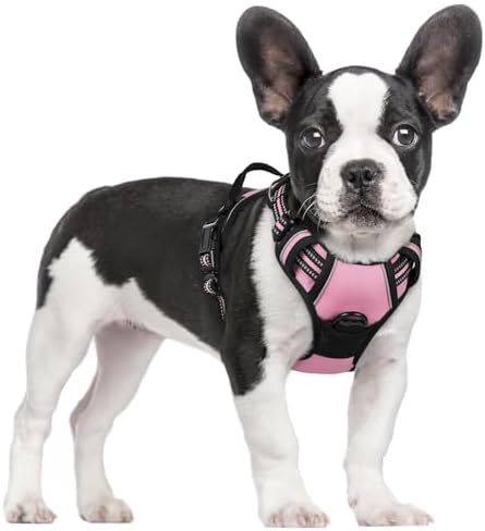 rabbitgoo Dog Harness, No Pull for Small Dogs by rabbitgoo