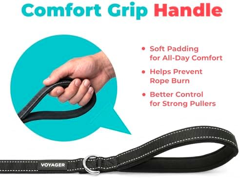 Best Pet Supplies Voyager Nylon Dog Leash - Image 5