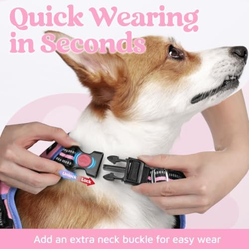 rabbitgoo Dog Harness Small Sized, No Pull 3 Buckles Easy On & Off - Image 2
