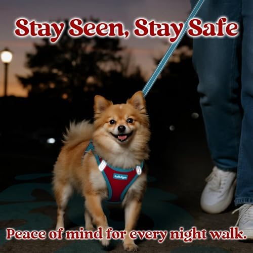 rabbitgoo Dog Harness Small Sized and Leash Set, Step in Soft Vest - Image 4