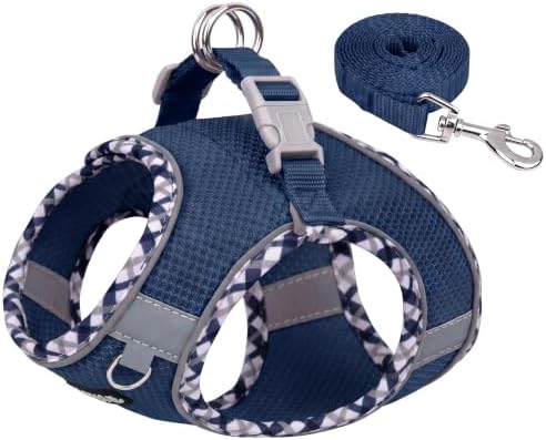 AIITLE Escape-Proof Dog Harnesss and Leash Set by AIITLE-FORPETSBETTERLIFE