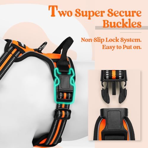 rabbitgoo Dog Harness, No Pull Medium Sized - Image 3