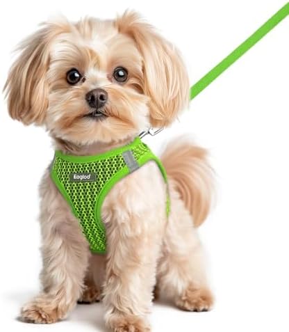 Eagloo Small Dog Harness and Leash Set, Step in Small Sized Puppy Pet Vest by GoExplorewithEagloo