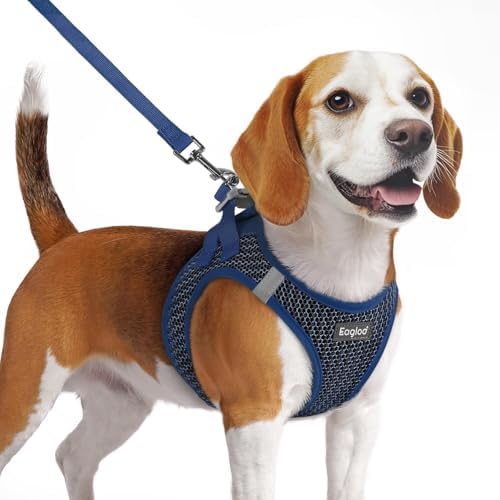 Eagloo Small Dog Harness and Leash Set, Step in Medium Small Puppy Pet Vest by GoExplorewithEagloo