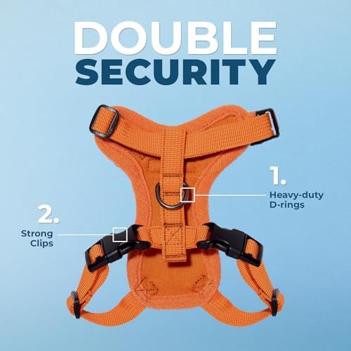 Voyager Step-in Lock Cat Harness & Leash Set - Image 2