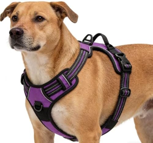 Purple No-Pull Dog Harness - Image 4