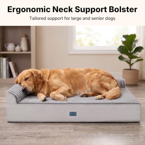 Veehoo Orthopedic Dog Bed for Senior Dog - Image 3