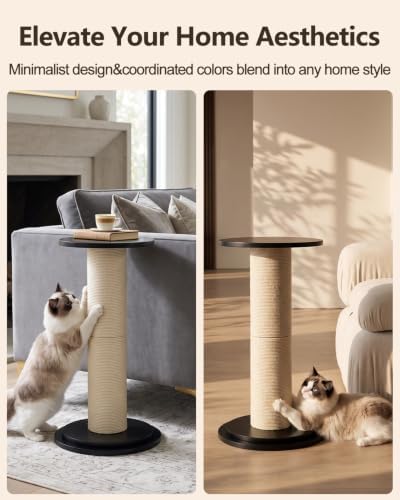 Odoland Cat Scratching Post for Indoor Cats, Large Sturdy Cat Scratcher - Image 4