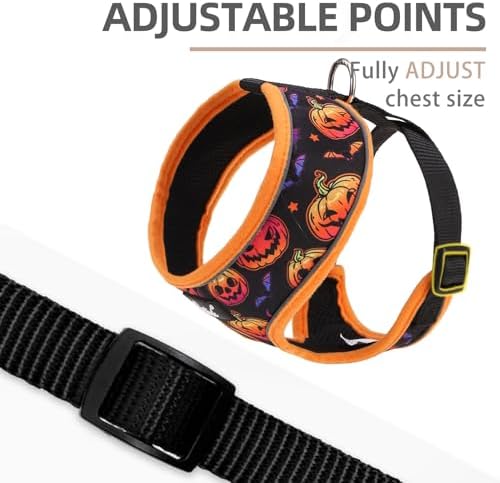 PUPTECK Halloween Dog Harness and Leash Set No Pull Small Sized Dogs Puppy - Image 3