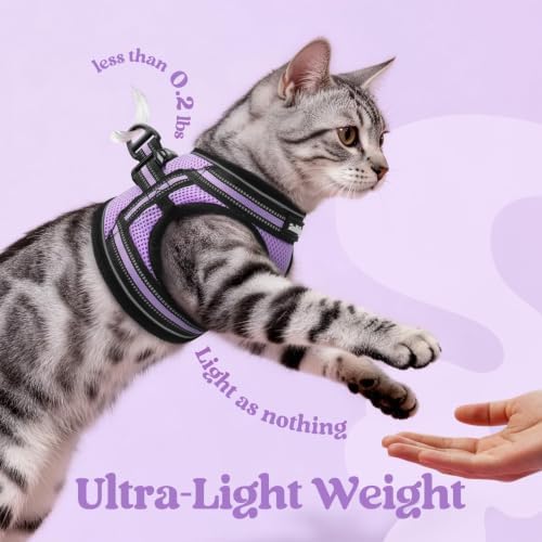 rabbitgoo Cat Harness and Leash Set, Step-in Soft Vest, Light Purple - Image 6