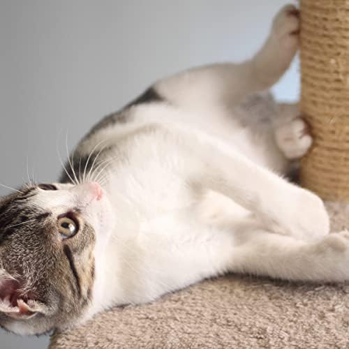 Cat Scratching Post with Carpeted Base - Image 5