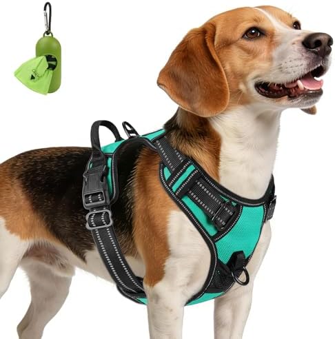 Joytale No Pull Dog Harness Medium Sized Dog, Front Clip by Joytale