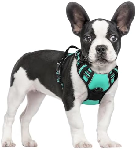 rabbitgoo Dog Harness, No Pull for Small Dogs by rabbitgoo