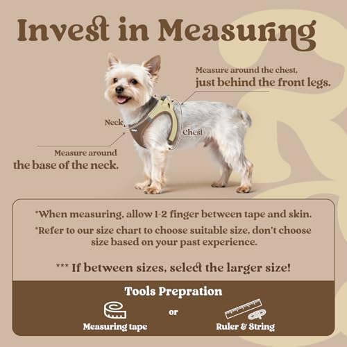 rabbitgoo Step-in Small Dog Harness, Puppy Vest - Image 2