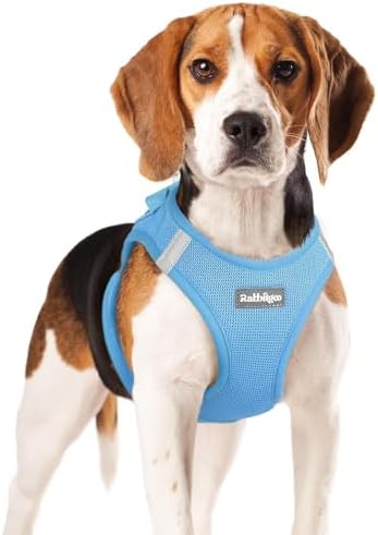 rabbitgoo Step-in Small Dog Harness, Puppy Vest by rabbitgoo