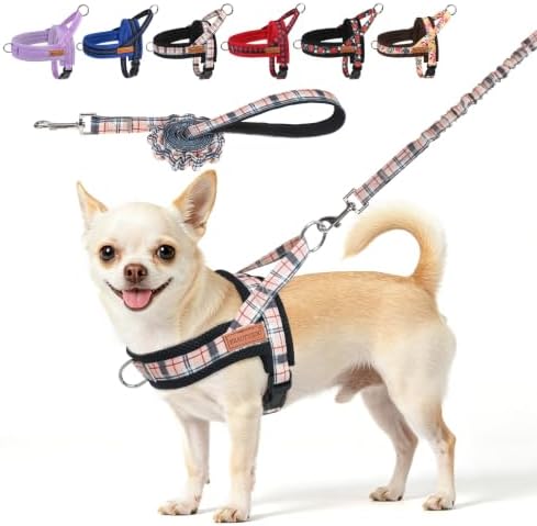 BEAUTYZOO Small Dog Harness and Leash Set, No Pull Step in Puppy Vest by BEAUTYZOO
