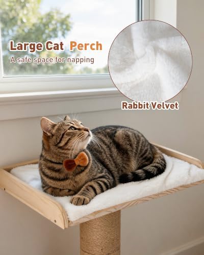 25.2" Cat Scratching Post with Bed, Cat Scratcher - Image 4
