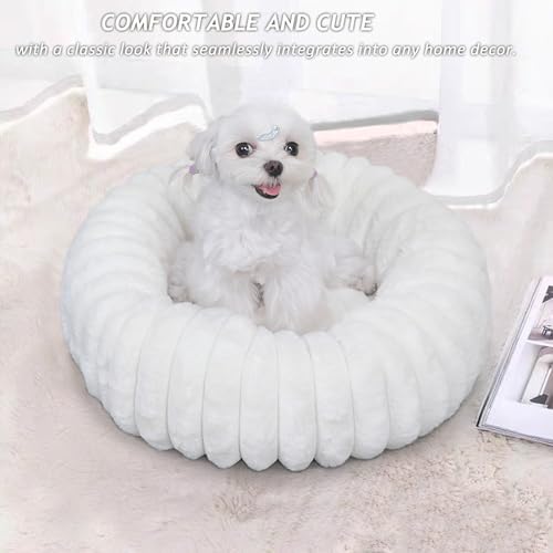 Small Cat Beds for Indoor Cats - Image 2