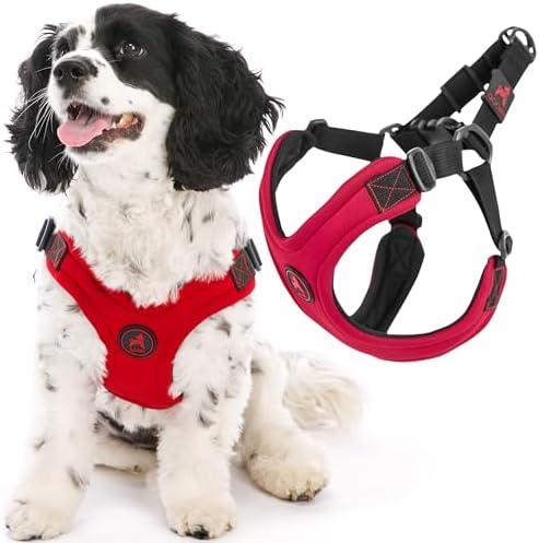 Gooby, Dog Harness, 4-Point Adjustment, No Choke by Gooby