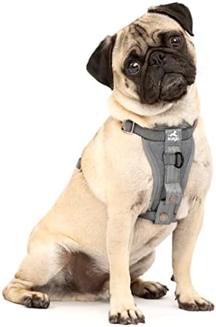 Kurgo Enhanced Strength Tru-Fit Smart Harness, Extra Small by Kurgo