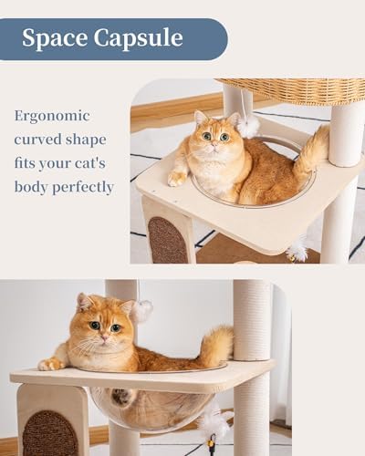 31.8" Cat Tree Tower, Acrylic Bowl, Woven Bed & Sisal Board - Image 3