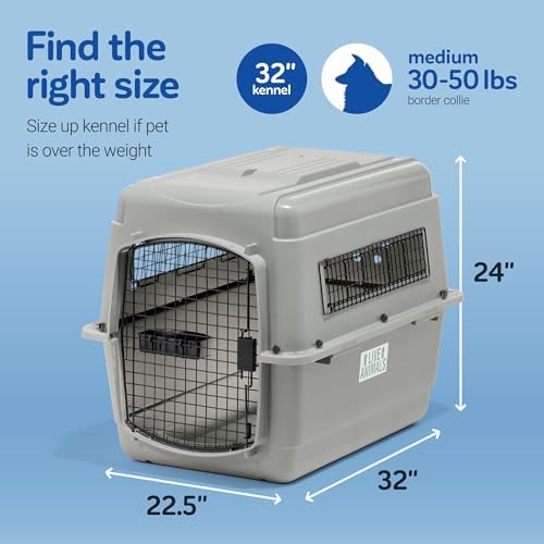 Petmate Sky Kennel, Air Travel, Dog Crate - Image 4