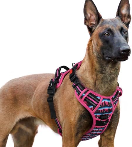 rabbitgoo Dog Harness for Large, Updated Easy On & Off by rabbitgoo