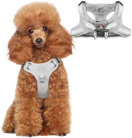 BARKBAY Small Dog Harness, No Pull Puppy Harness, Step-in Dog Vest by BARKBAY