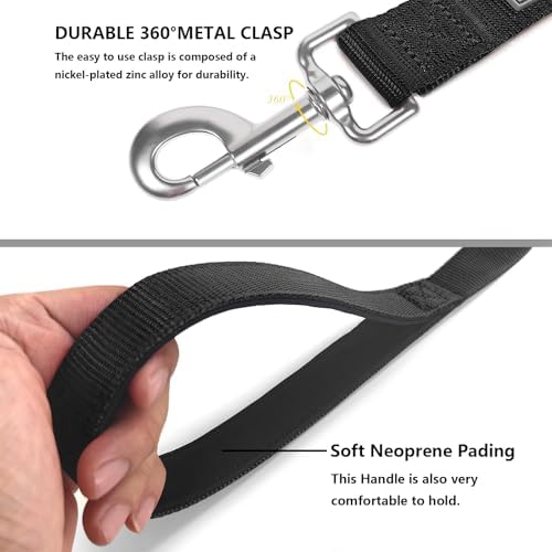 6 FT Reflective Dog Leash for Small Dogs - Image 4