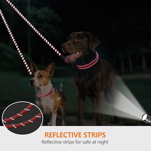 Taglory Double Dog Leash Coupler - Image 4