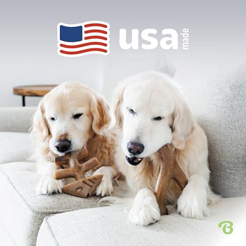 Benebone 2-pack Fishbone/Wishbone Durable Dog Chew Toys, Dog Bones - Image 5