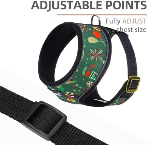 PUPTECK Small Dog Harness and Leash Set No Pull - Image 3