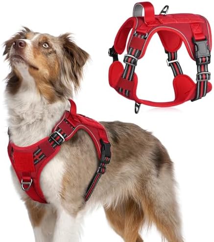 rabbitgoo Tactical Dog Harness for Medium, No Pull Military Service Vest by rabbitgoo