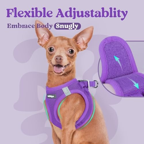 rabbitgoo Step-in Small Dog Harness, Puppy Vest - Image 5