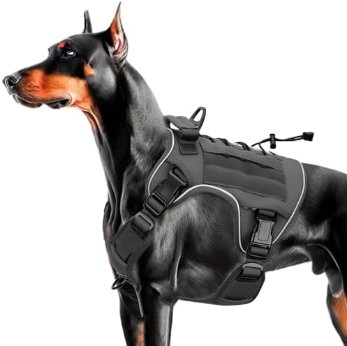 Heavy-Duty Tactical Dog Harness by Bruvoalon