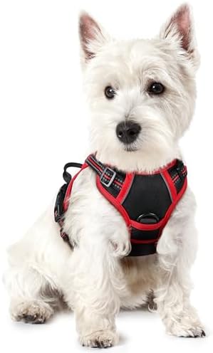 rabbitgoo Dog Harness, No Pull for Small Dogs by rabbitgoo