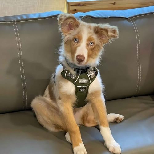 AUROTH Tactical Dog Harness Medium Sized Dog No Pull Adjustable Dog Vest - Image 6