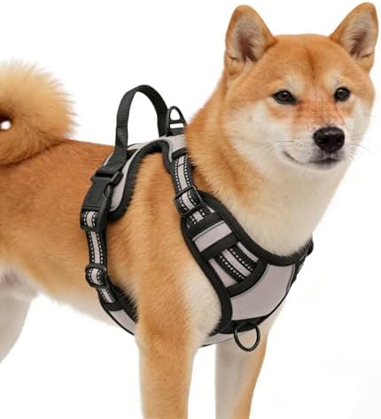 Gray No-Pull Dog Harness with 2 Leash Clips，Soft Padded Vest by Unknown