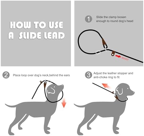 Fida Durable Slip Lead Dog Leash, 6 FT x 3/8" Dog Training Leash - Image 6