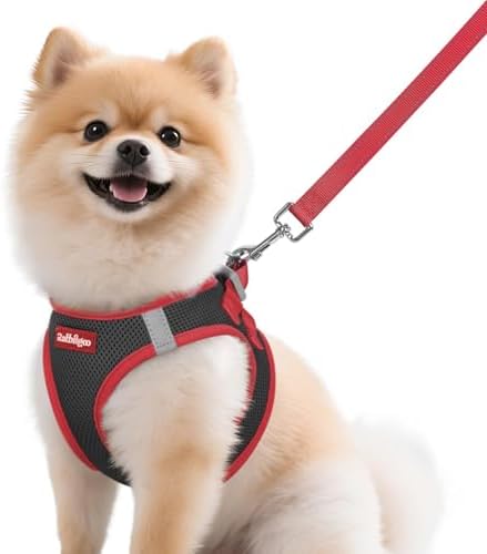 rabbitgoo Dog Harness Small Sized and Leash Set, Step in Soft Vest by rabbitgoo