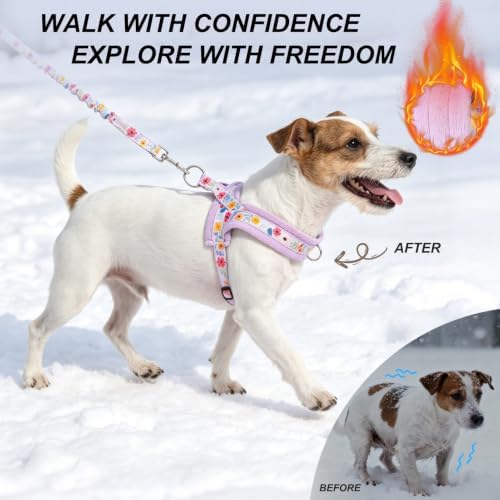 BEAUTYZOO Small Dog Harness and Leash Set, No Pull Step in Puppy Vest - Image 4