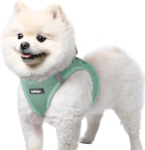 rabbitgoo Step-in Small Dog Harness, Puppy Vest by rabbitgoo