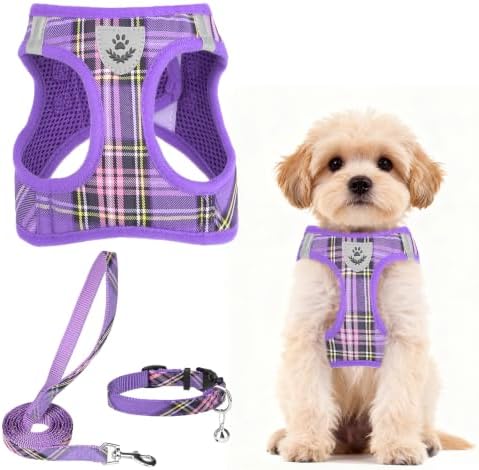 PUPTECK Dog Harness, Collar and Leash Set No Pull by PUPTECK