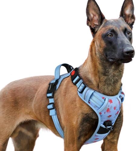 rabbitgoo Dog Harness for Large, Updated Easy On & Off by rabbitgoo